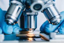 Enhancing the Unseen: How Super Resolution Brings Hidden Details to Light in Scientific Imaging