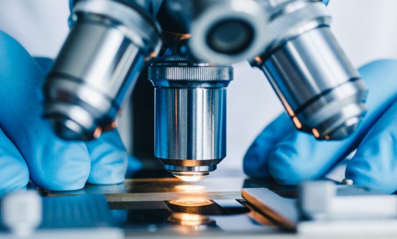 Enhancing the Unseen: How Super Resolution Brings Hidden Details to Light in Scientific Imaging Enhancing the Unseen: How Super Resolution Brings Hidden Details to Light in Scientific Imaging
